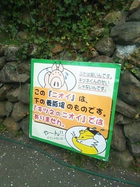 画像9