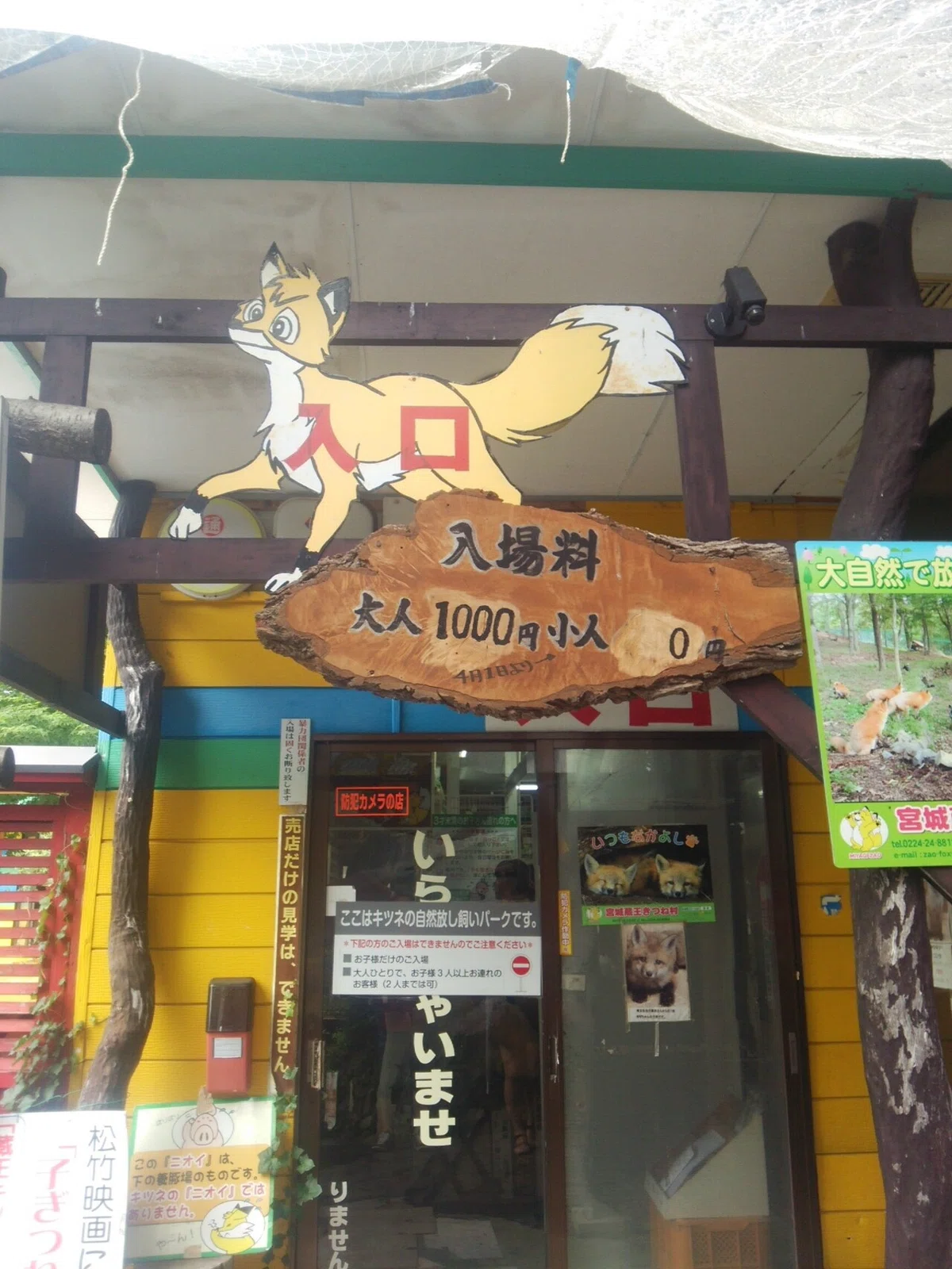 画像11
