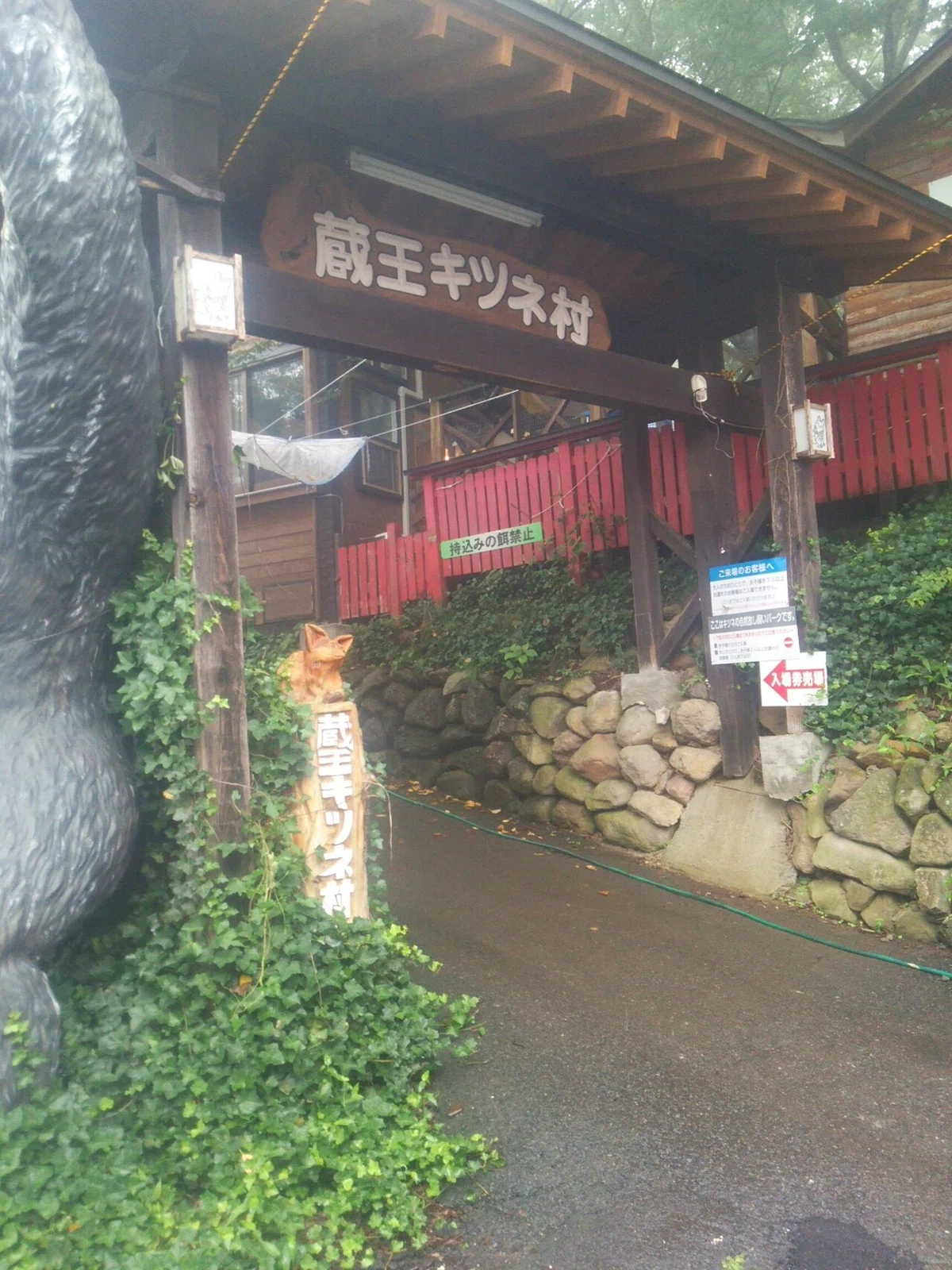 画像24