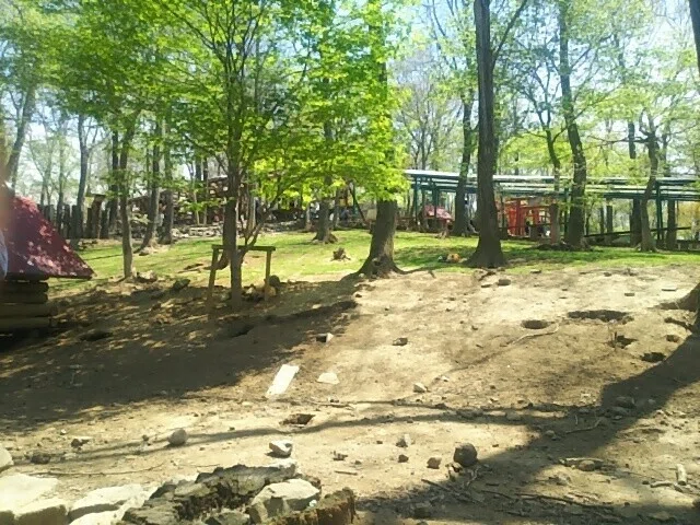 画像33