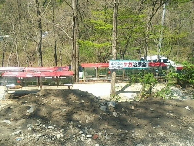 画像29