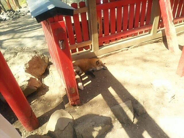 画像48