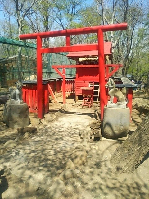 画像39