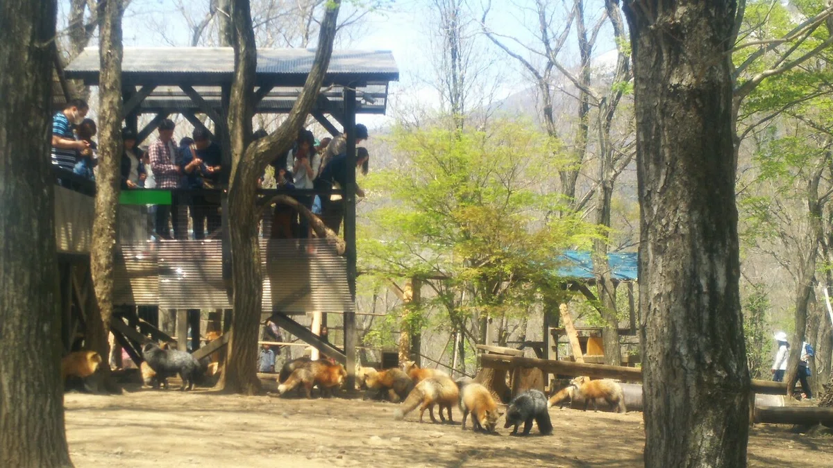 画像46