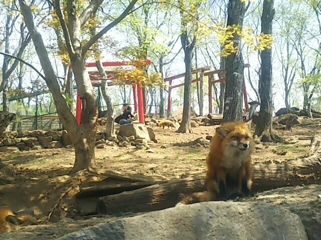 画像51
