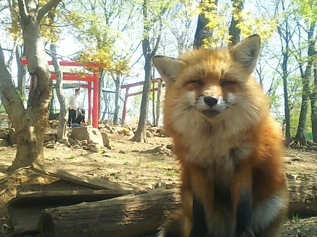 画像50