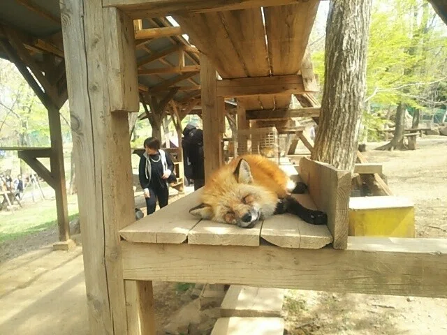 画像52