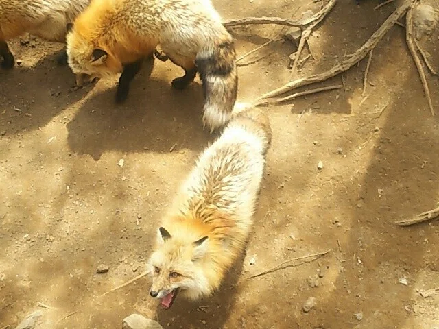 画像53