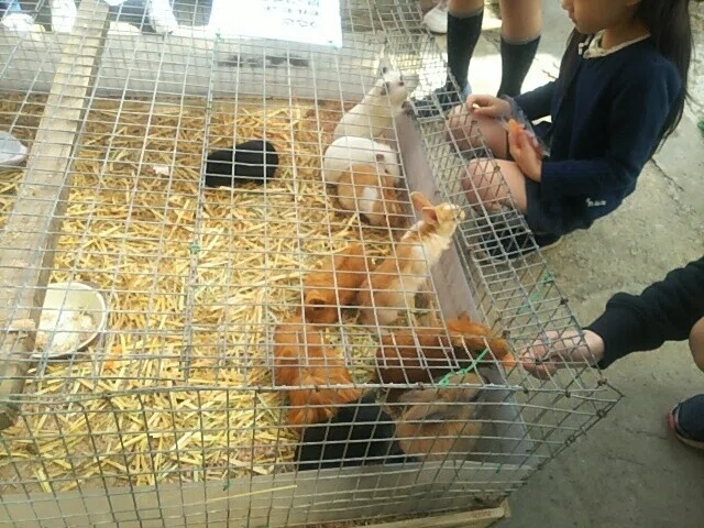 画像59