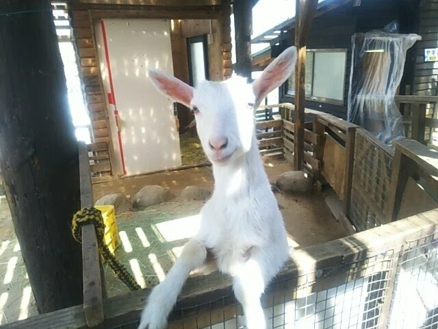 画像60