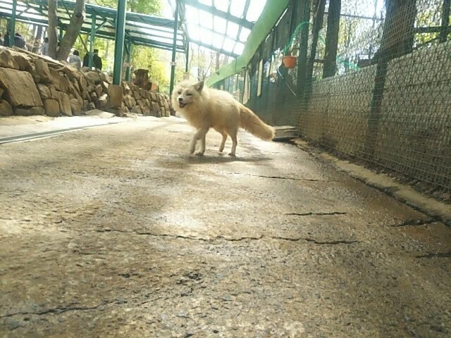 画像70