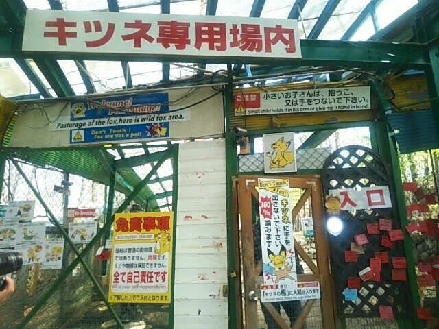 画像74