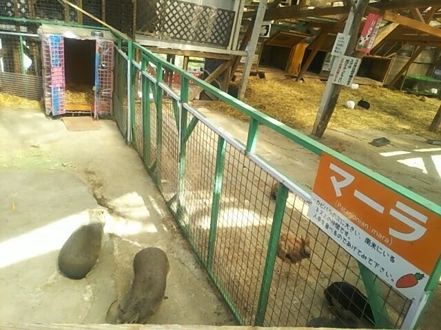 画像78