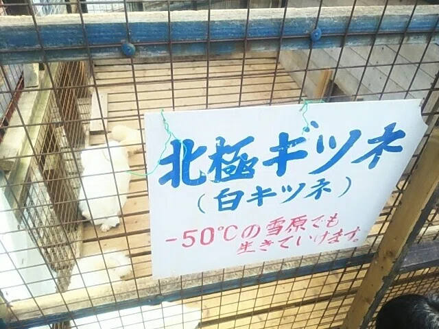 画像84