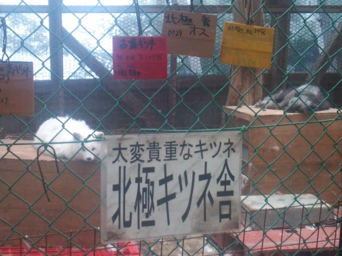画像111