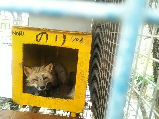 画像113