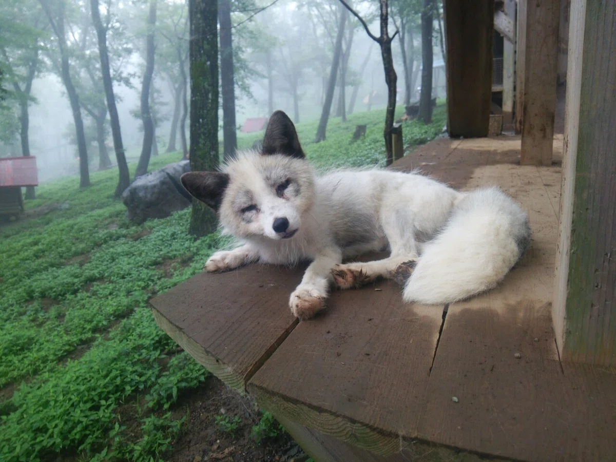画像149