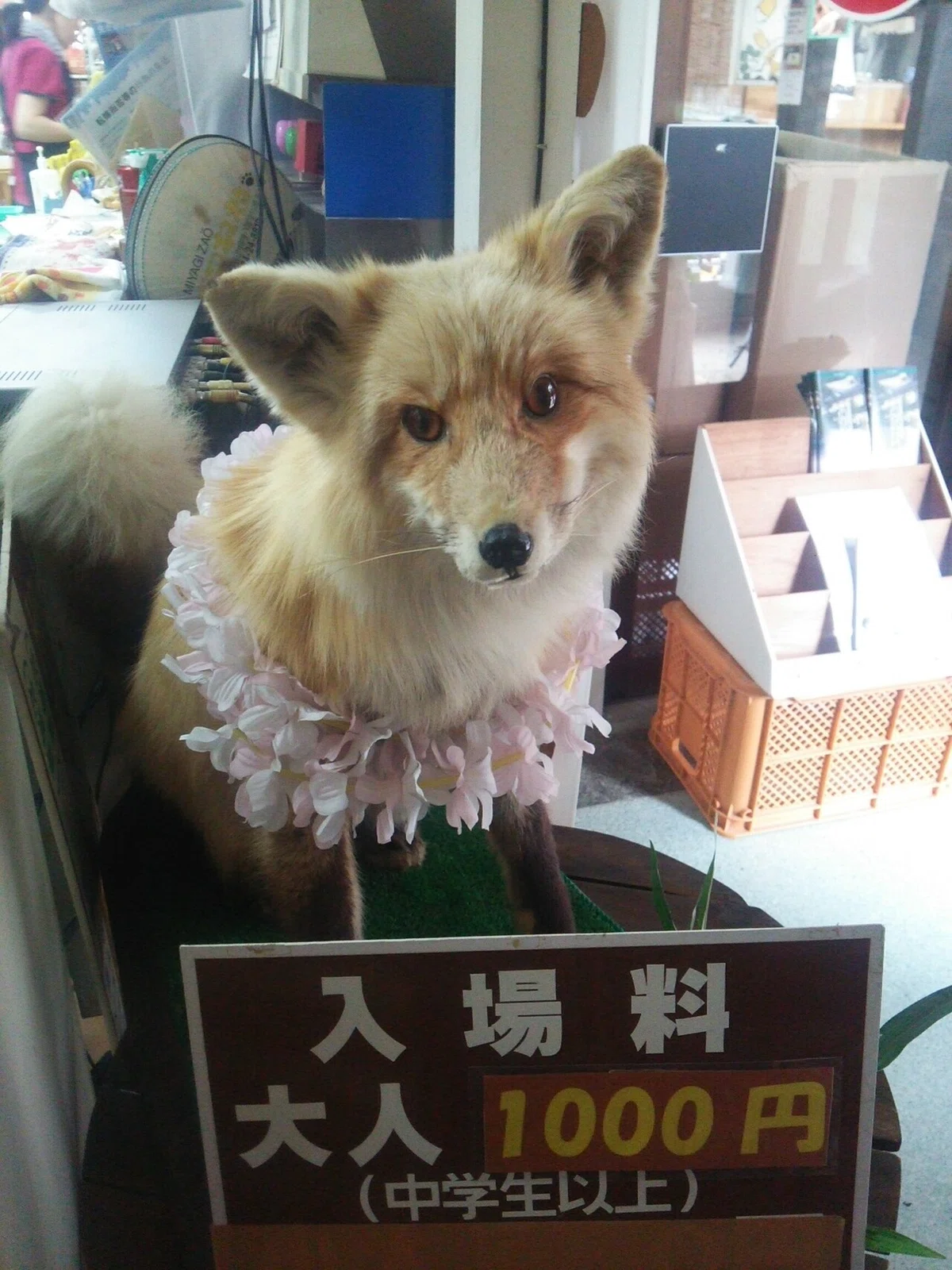 画像126