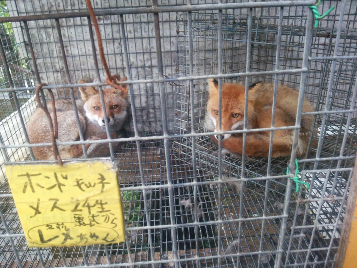 画像128