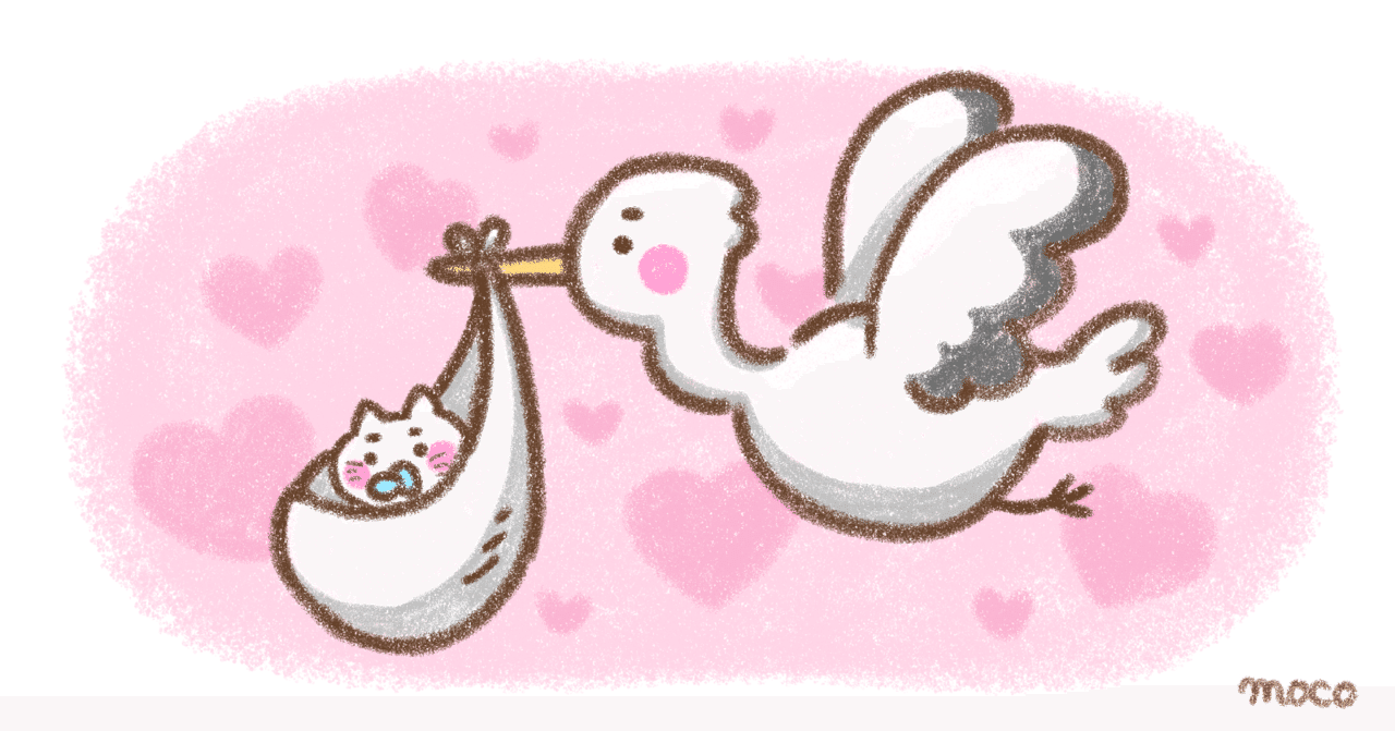 妊娠の日 Moco Note 妊娠の日 Moco Note