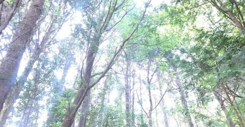 人間関係の 原点 を忘れずに 流香 一人ひとりの幸せ作家 Note