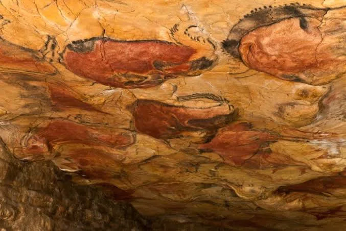 人はなぜ絵を描くのか」を人類最初の洞窟壁画から考える｜ジュウ・ショ