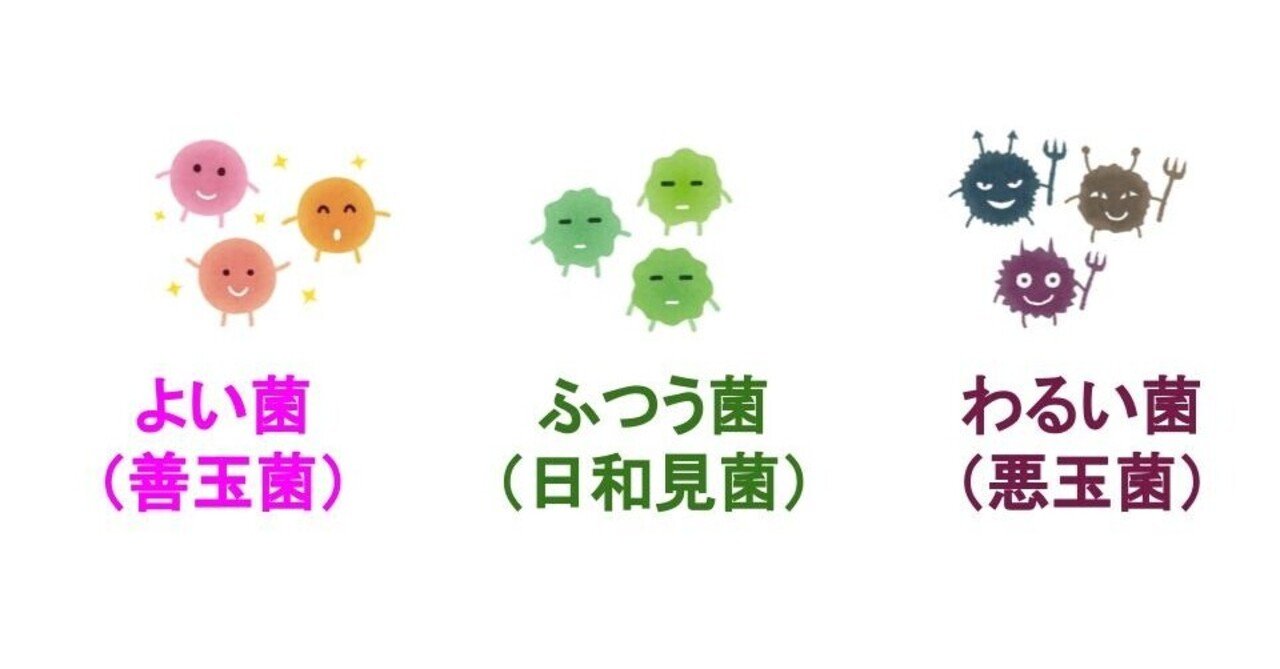 たったこれだけ 腸活 で大事なこととは 下北沢のパーソナルトレーニングジム Dr トレーニング たったこれだけ 腸活 で大事なこととは 下北沢のパーソナルトレーニングジム Dr トレーニング