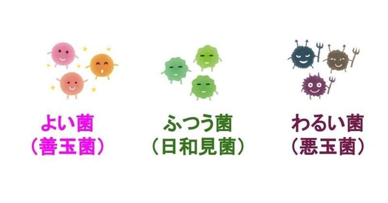 腸内フローラ界では ふつうの子が鍵になる ひびてん こども未来クリエイター Note 腸内フローラ界では ふつうの子が鍵になる ひびてん こども未来クリエイター Note