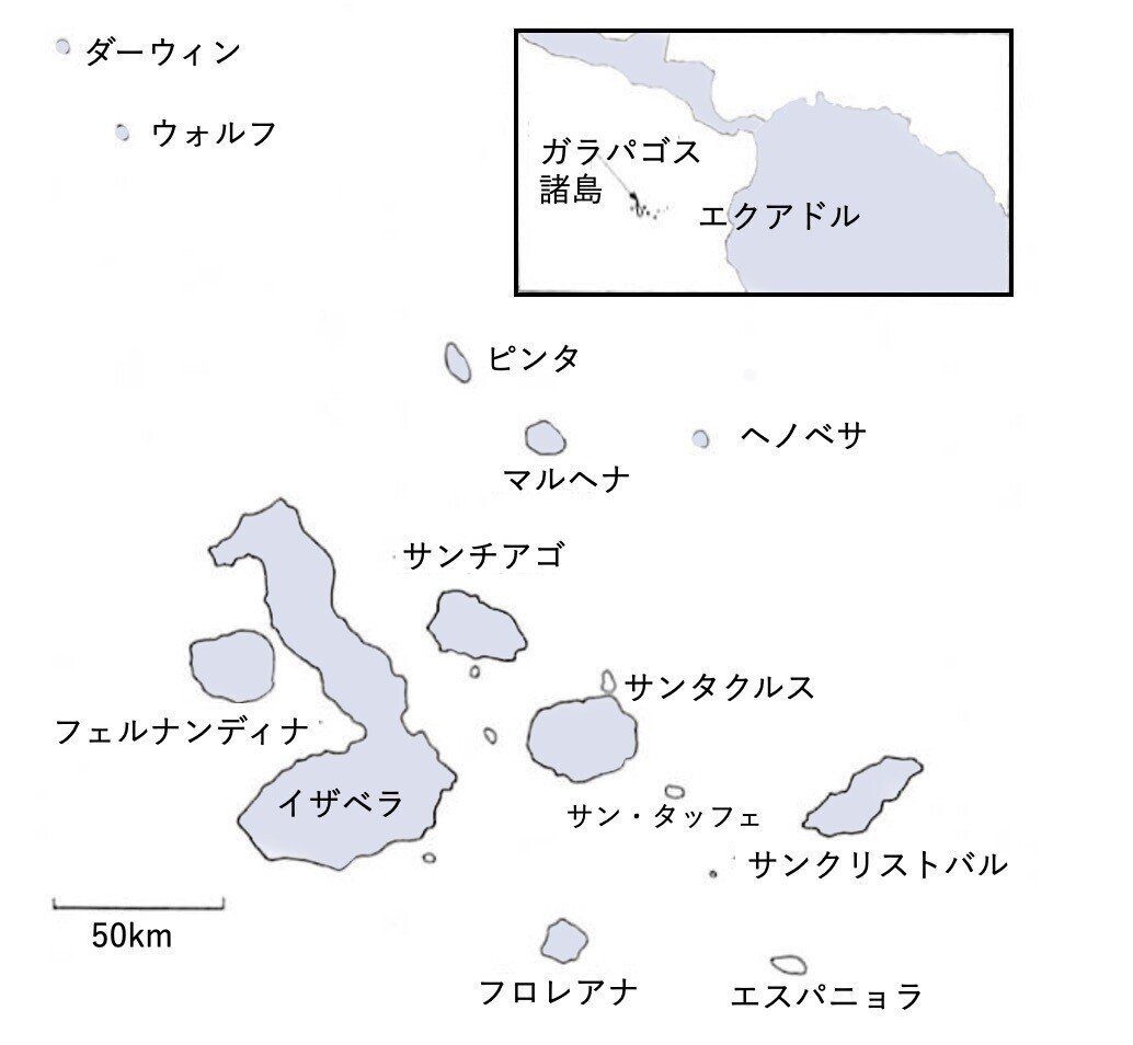 はじめての進化論 [2025年注釈付]｜河田 雅圭