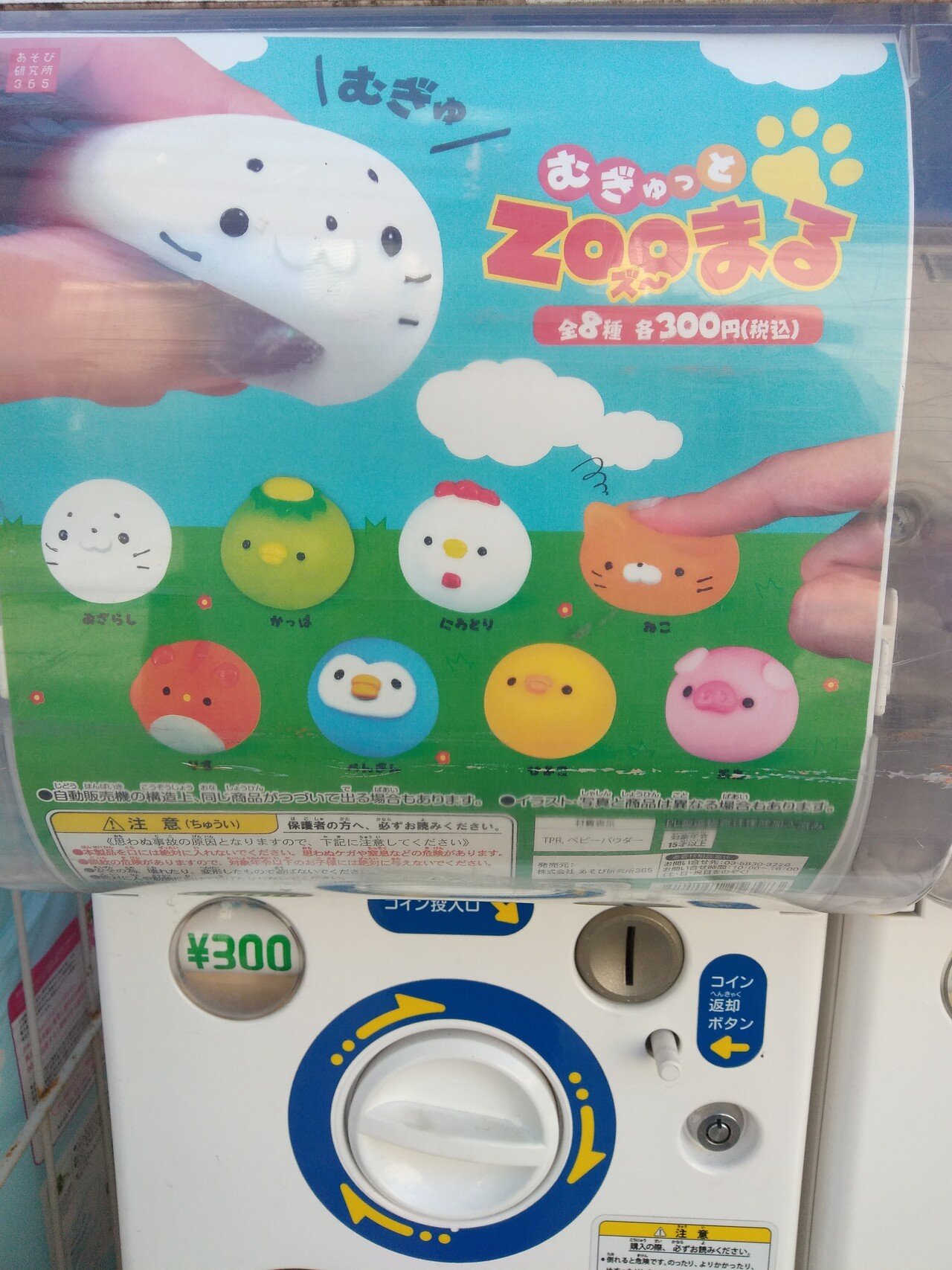 どう見ても100円ガチャガチャ Zooまる 300円 全てがパクリっぽいわ まあ ボールにするとこうなるのはわかるけど そして高すぎよ 周りを見てね オレたち 鳥裸族 Note