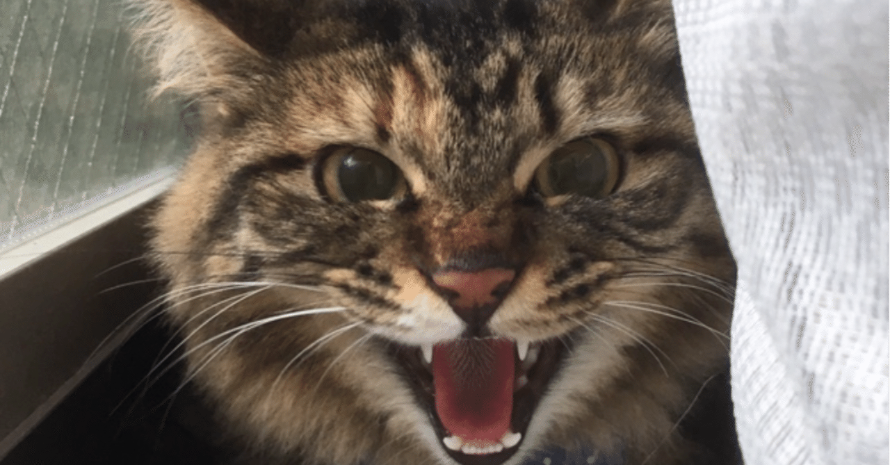 会話の地雷の対処法と社会問題 図書ペン 社会を変える イチミクロン Note