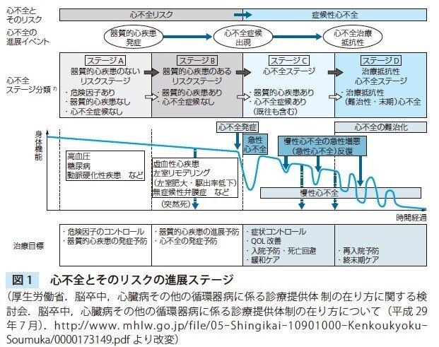 慢性臓器障害の診かた、考えかた 慢性臓器障害の診かた、考えかた: 9784498014107: Books - Amazon.ca