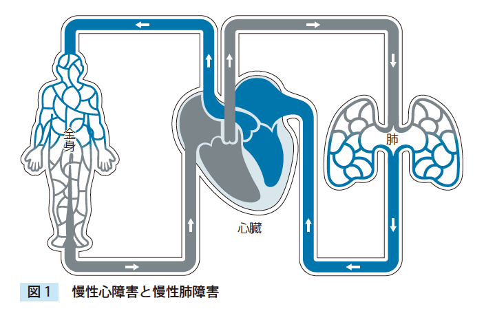 4章図1