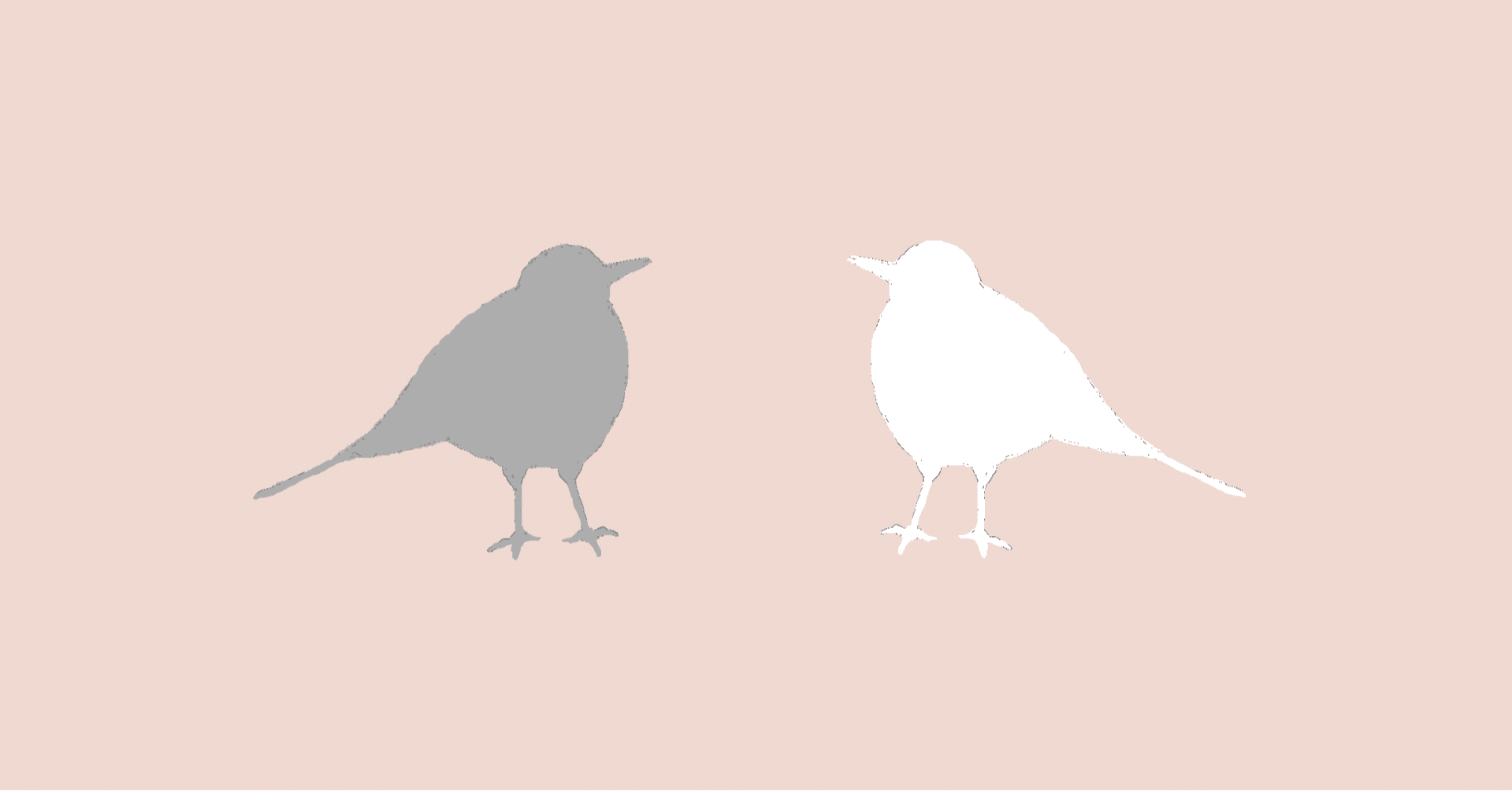 風の強い日はカラスがよく鳴く せらせら Note