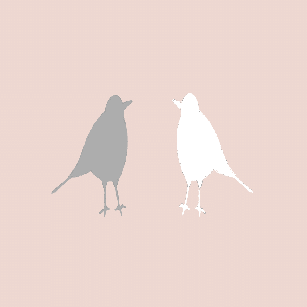 風の強い日はカラスがよく鳴く せらせら Note