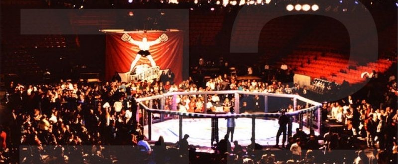 世界一の“総合格闘技”大会　UFCとは何か？　第八回