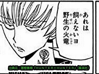 フィンクス マグカブ 野生の火竜 マルハボロ Note