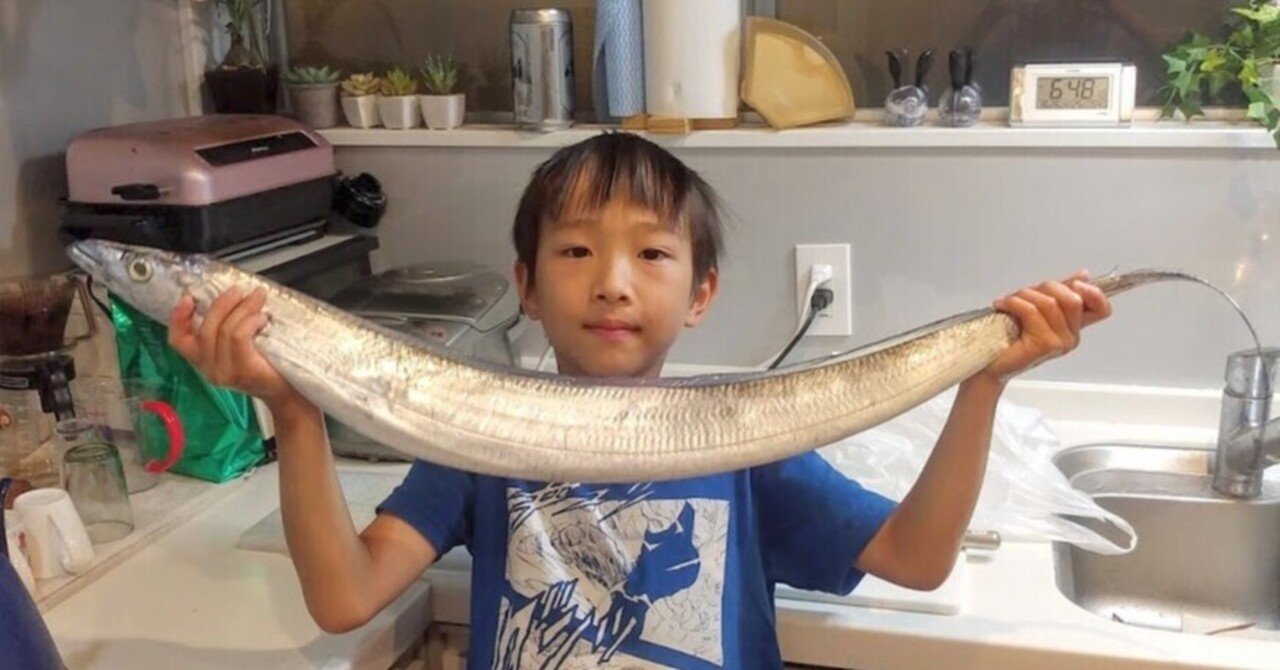 さばいた魚はなんと３７種類 魚への好奇心が止まらないまさむねくん 小3 探究学舎 Note