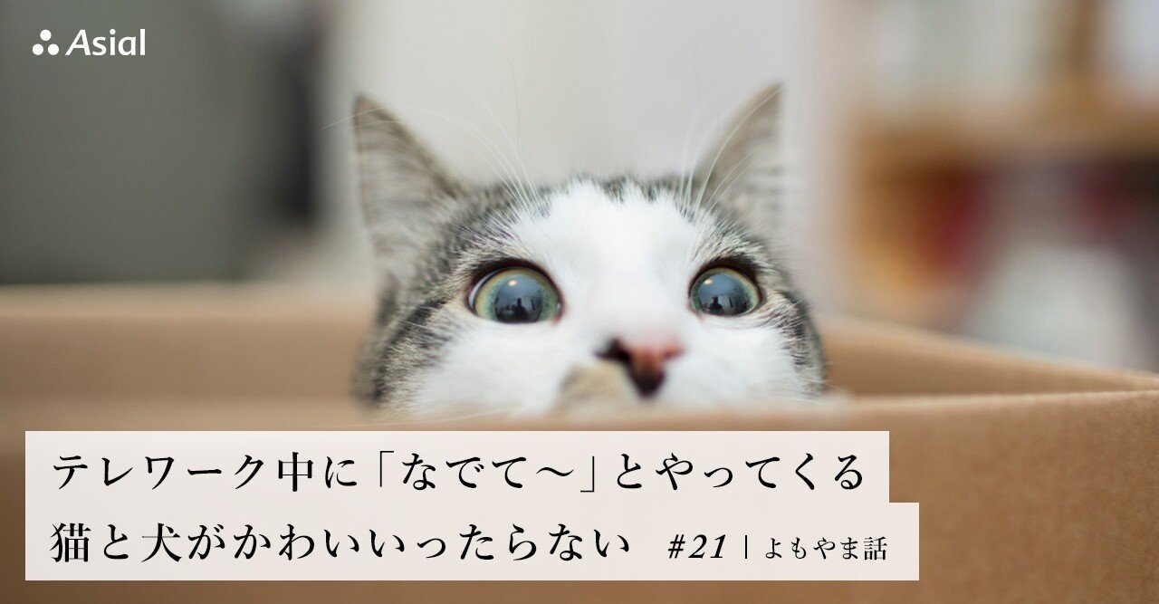 テレワーク中に なでて とやってくる猫と犬がかわいいったらない エンジニアリングで世界をちょっとよくするノート Byアシアル