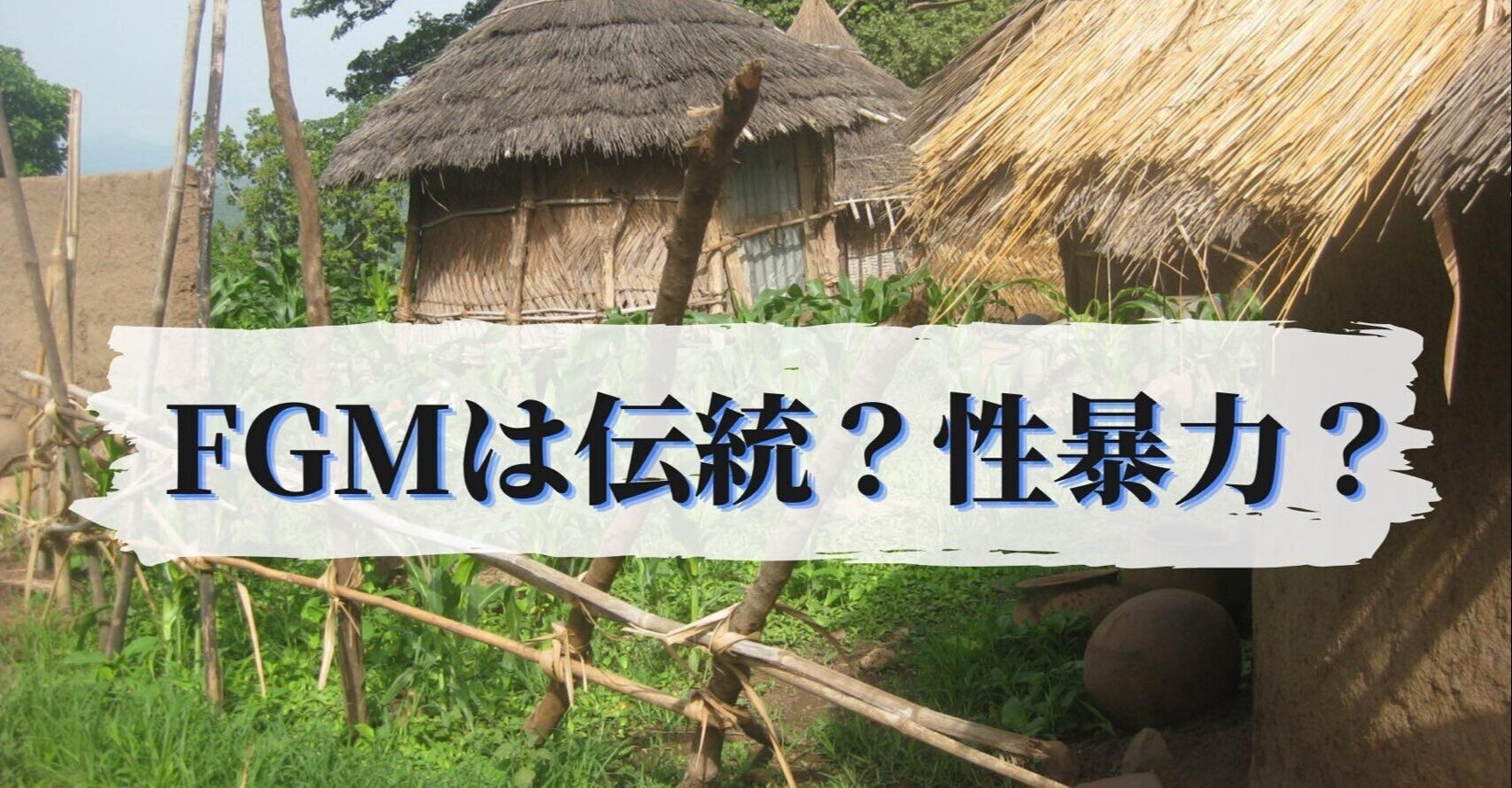 Fgm 女性器切除 について Gueneu Note Fgm 女性器切除 について Gueneu Note