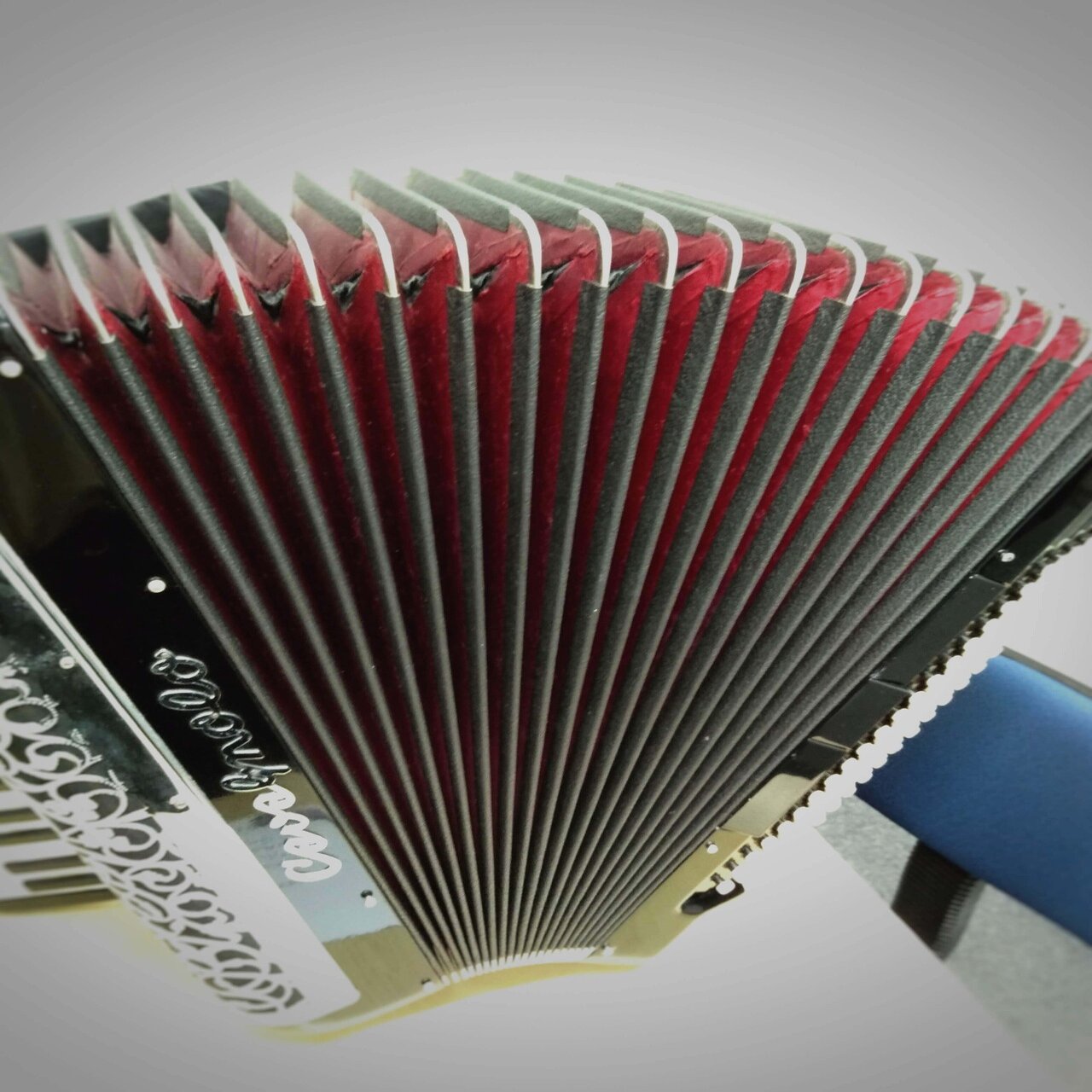 中古】 CAVAGNOLO GALA 5 ～フレンチアコーディオンの特徴