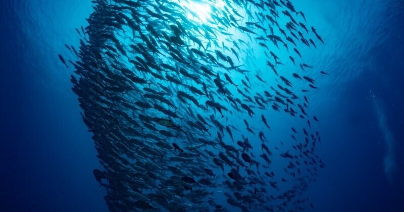 それは深い海の底 の新着タグ記事一覧 Note つくる つながる とどける それは深い海の底 の新着タグ記事一覧 Note つくる つながる とどける