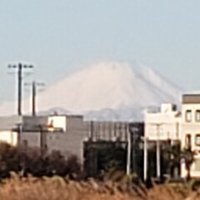 ダーウィンが この世に生き残る生き物は 変化に対応できる生き物だ なんて言うわけがないが この誤解 は重要な示唆を与えてくれている S Morikawa Note