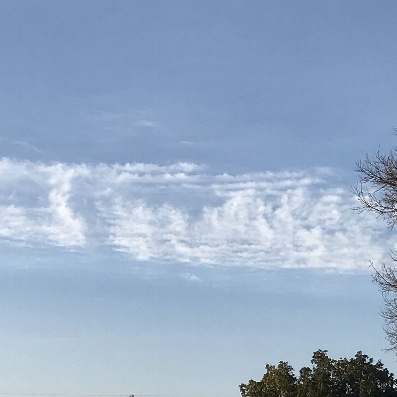 南の空に帯みたいな雲が浮かぶ金曜日の朝のバラ 百葉 Note