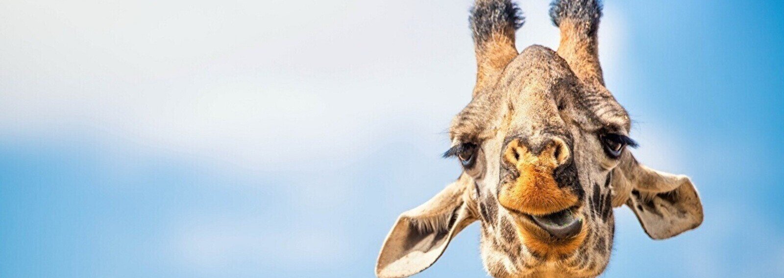 wallpaper_landscape_f65d08ecb6