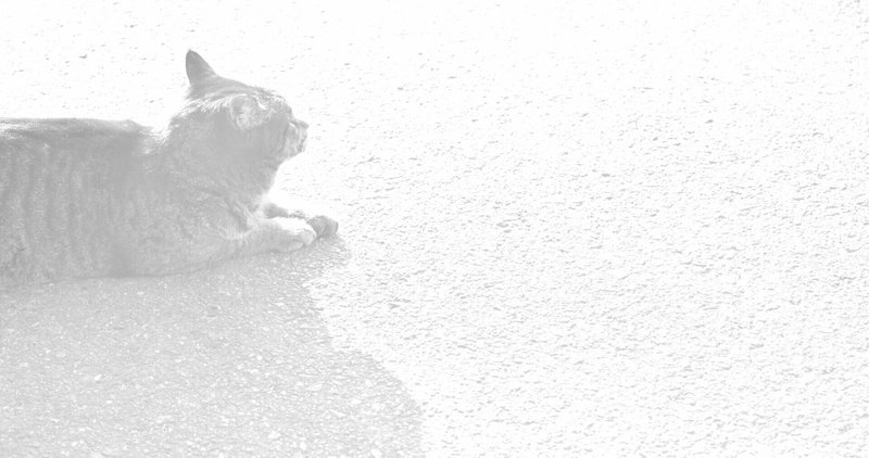 ぼへー の新着タグ記事一覧 Note つくる つながる とどける