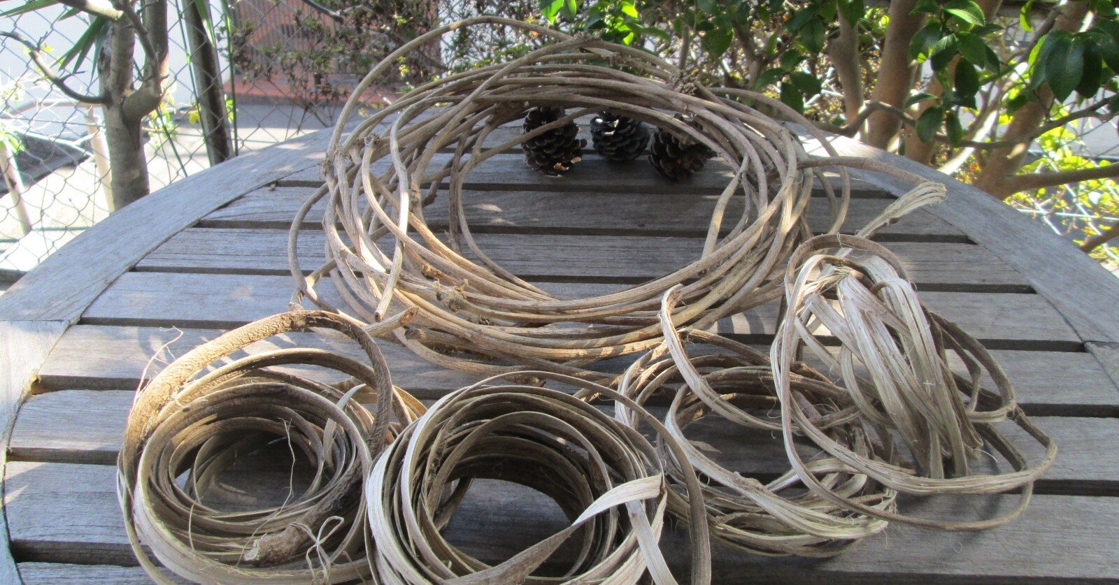 aa5db79aa6ccb22972603da83a467e