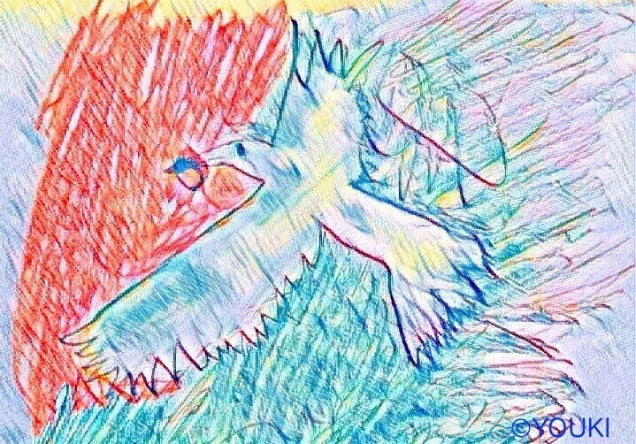 3/ミサキ