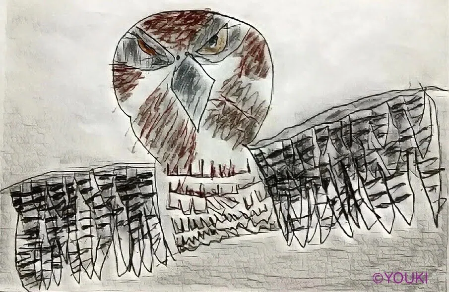 6/オオタカ