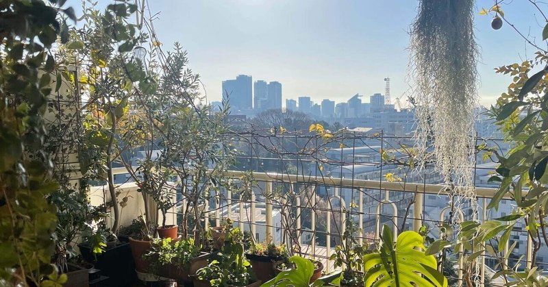植物男子ベランダーを忘れていませんか すー Note 植物男子ベランダーを忘れていませんか すー Note